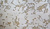 MINART SILVER — Декоративна груба штукатурка  в техніці травертина. Kale Decor, фото 4