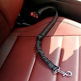 Автомобільний ремінь безпеки для собаки, фото 3
