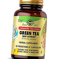 Натуральный экстракт зеленого чая Solgar Green Tea Leaf Extract 60 растительных капсул