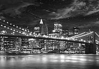 Фотообои на бумажной основе Ника Ника Бруклинский мост 16Л 196х280 280 см X 196 см Тёмный грифельно-серый