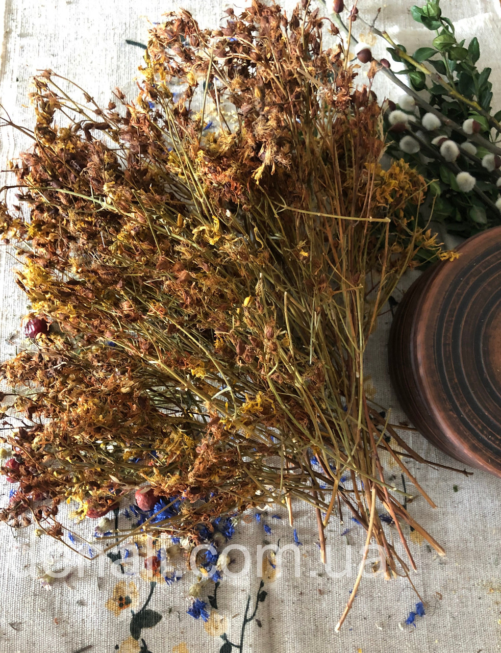 Звіробій трава 50 г  Hyperici perforati herba