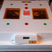 Домашній інкубатор для яєць Квочка МІ-30 1 на 80 яєць Цифровий Інкубатор побутовий