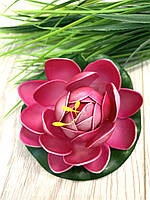 Штучний лотос (глечик для басейнів діаметр 10 см), фото 8