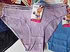 Бавовняні Трусики В Рубчик Мікс 12шт (1961), фото 2