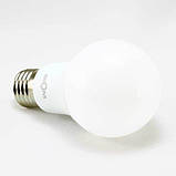 Світлодіодна лампа Biom BT-509 A60 10 W E27 3000 K матова, фото 2