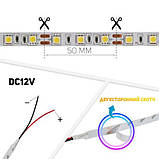 Світлодіодна стрічка OEM ST-12-5050-60-WW-20-V2 тепла біла, негерметична, 1 м, фото 5