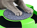 Інтерактивна кігтеточка для котів зловити мишку Catch The Mouse, фото 3