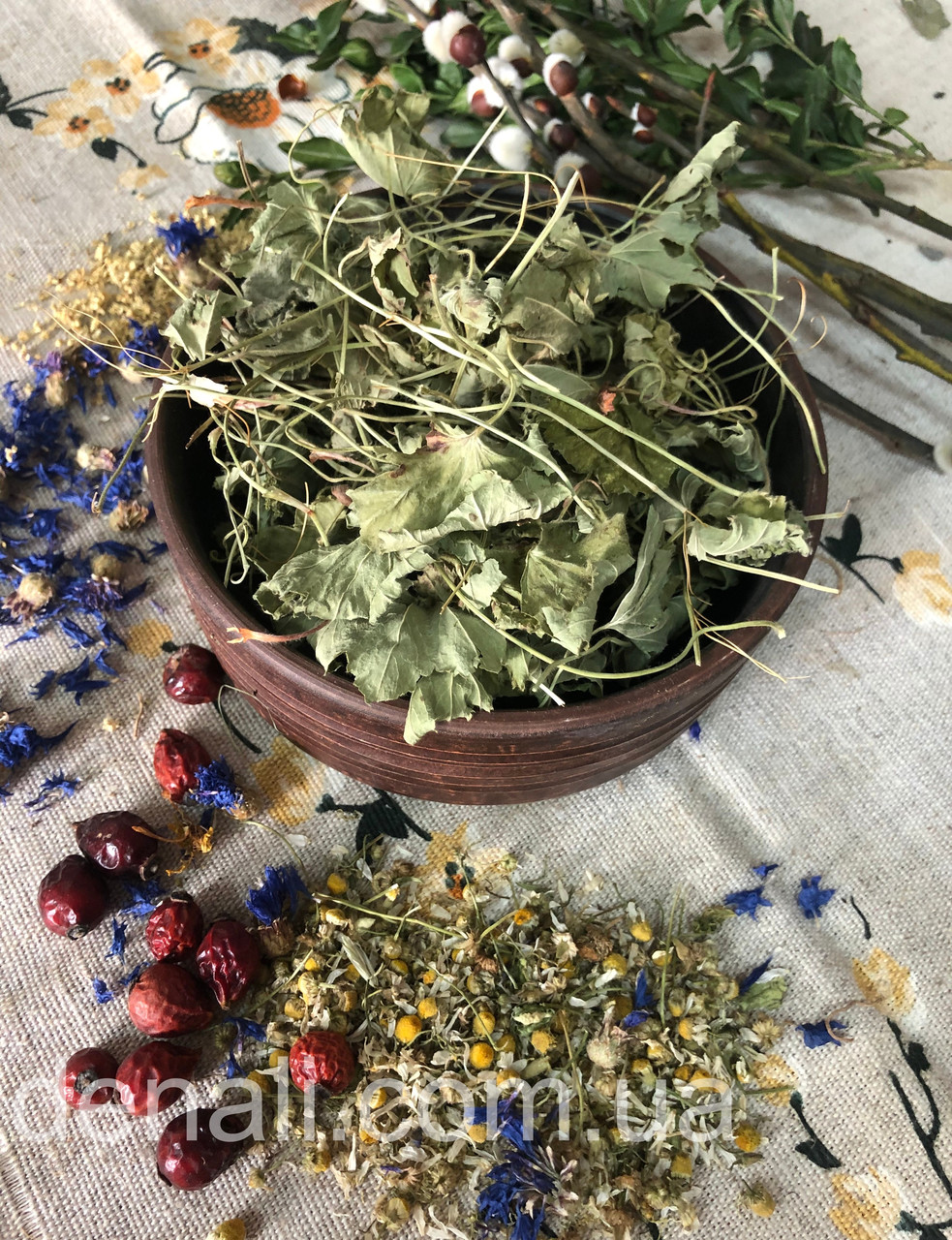 Манжетка трава 50 г Alchemilla vulgaris, фото 1