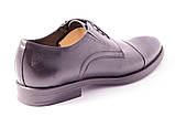 Туфлі чоловічі чорні Lioneli 3074-01, фото 4