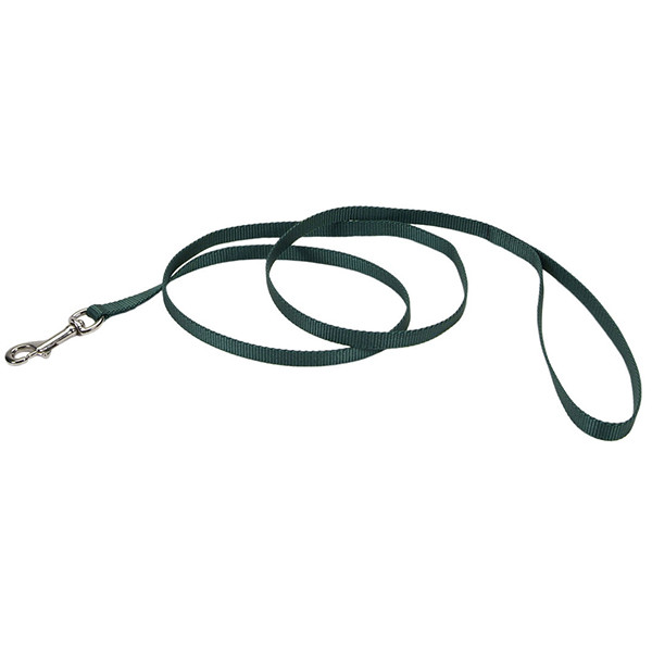 Повідець для собак найлон Coastal Nylon Leash 1смХ1.2м (00304_HUN04)