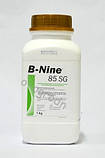 B-Nine 85 SG (Бі Нейн) 100 г регулятор росту (на розвіс), фото 6