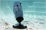 Ручний пилосос Watertech Pool Blaster Max HD (Li-ion), фото 4