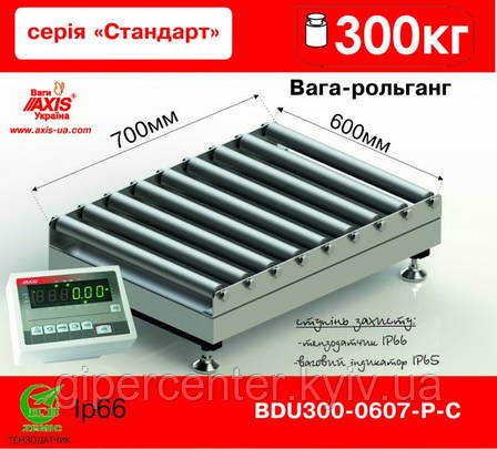 Ваги рольгангові BDU300-0607-Р Стандарт, фото 1
