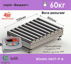 Ваги рольгангові BDU60-0607-Р Бюджет, фото 3