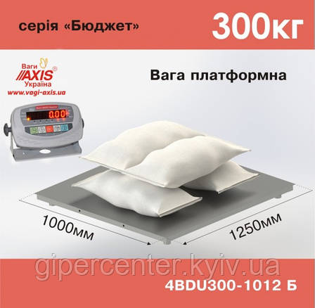 Ваги платформні складські 4BDU300-1012-Б, фото 1