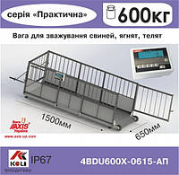 Весы для свиней 4BDU600Х-0615-П Практический