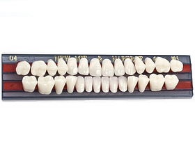 Зуби Ямахачи колір А1 T1, L2, M30