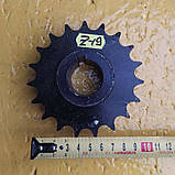 Зірочка приводу шнека прес-підбирачі Sipma Z-224, шестірня привода шнека Sipma z=19, фото 4