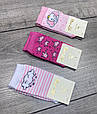 Дитячі шкарпетки стрейчеві Moni life яскравий мікс з малюнком бавовна для дівчаток 0, 1, 3 роки 12 шт в уп, фото 4