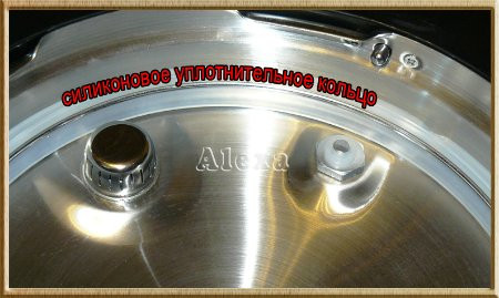 Ущільнювальне кільце скороварки Rotex REPC (для REPC53/55/56/57/58,72/73/75/76)
