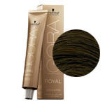Фарба для волосся Igora Royal Absolutes 7-50 середньо-русявий золотистий натуральний 60 мл