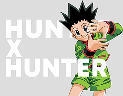 Мисливець х Мисливець Hunter x Hunter