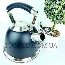 Чайник из нержавеющей стали 2.5 L Ardesto Black Mars AR0747KS