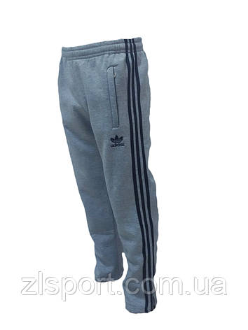Теплі спортивні штани (штани) Adidas чоловічі світло-сірі (прямі) Туреччина, фото 1