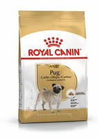 Сухой корм Royal Canin Pug Adult (Роял Канин Паг Эдалт) 3 кг для взрослых собак породы мопс