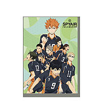 Постер плакат аниме Волейбол 42х29 см А3 (poster_0407)