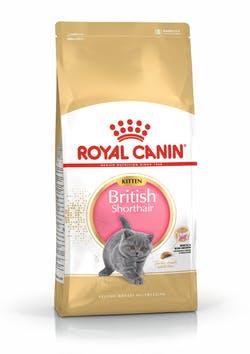 Сухий корм Royal Canin British Shorthair Kitten (Роял Канін Брітіш Шортхейр Кіттен) 2 кг для кошенят