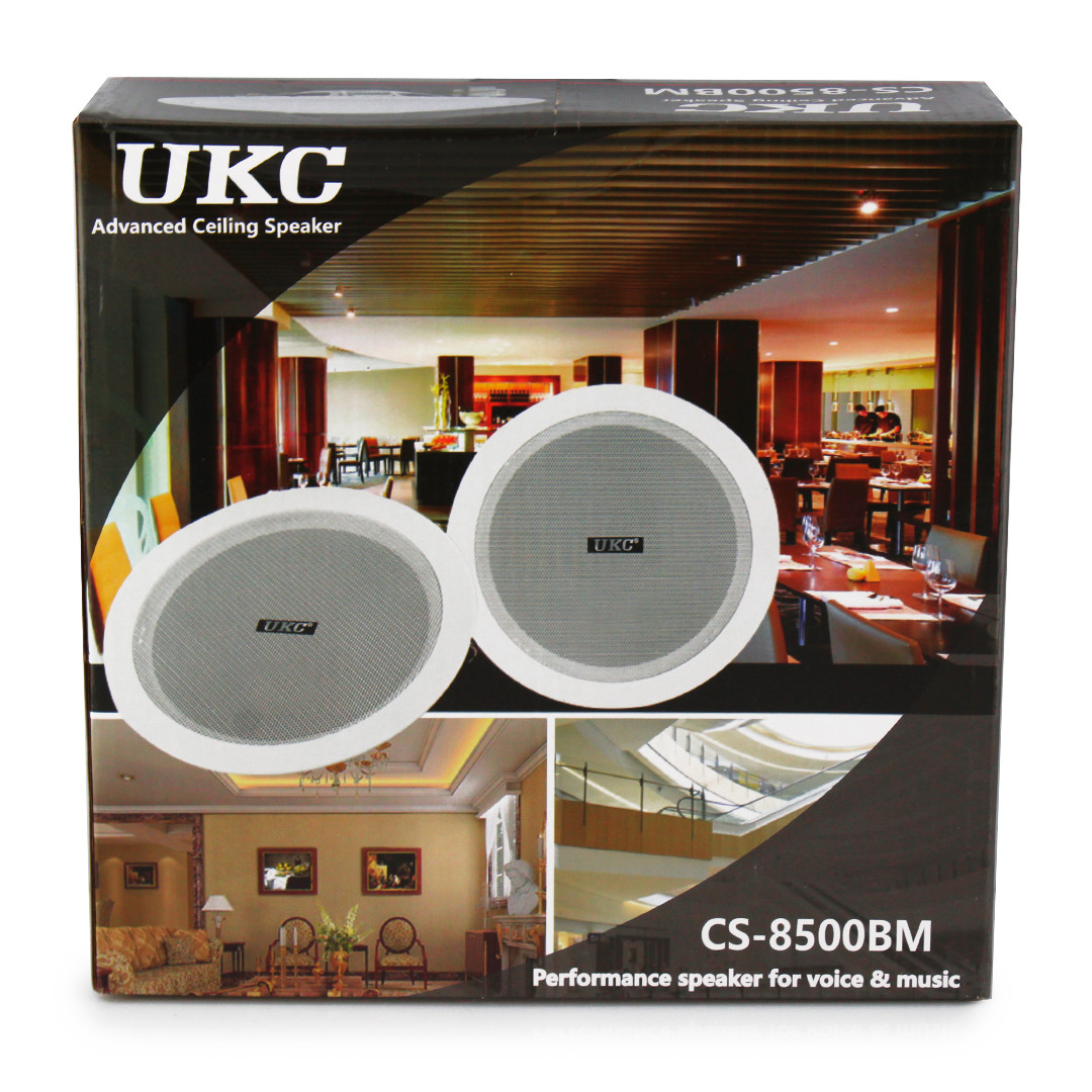 Стельові динаміки (колонки) CS 8500