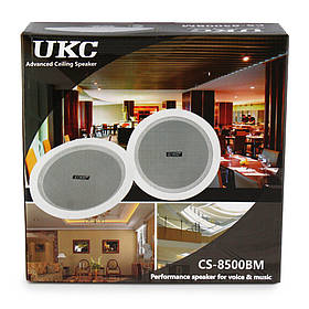 Стельові динаміки (колонки) CS 8500