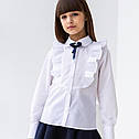 Блузка шкільна ошатна для дівчаток Lidia тм BrilliAnt Розмір 128, фото 8