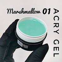 UV Акрил гель (полигель) AcrylGel marshmallow для наращивания ногтей Andi PROF №01 мята 30ml