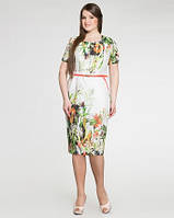 Сукня жіноча ПА-303580-14-54.56.58