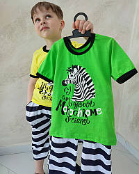 Літній комплект для хлопчика футболка та бриджі Зебра