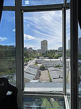 Москітна сітка, фото 3