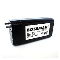 Bossman 4V 800 mAh 32*21*65