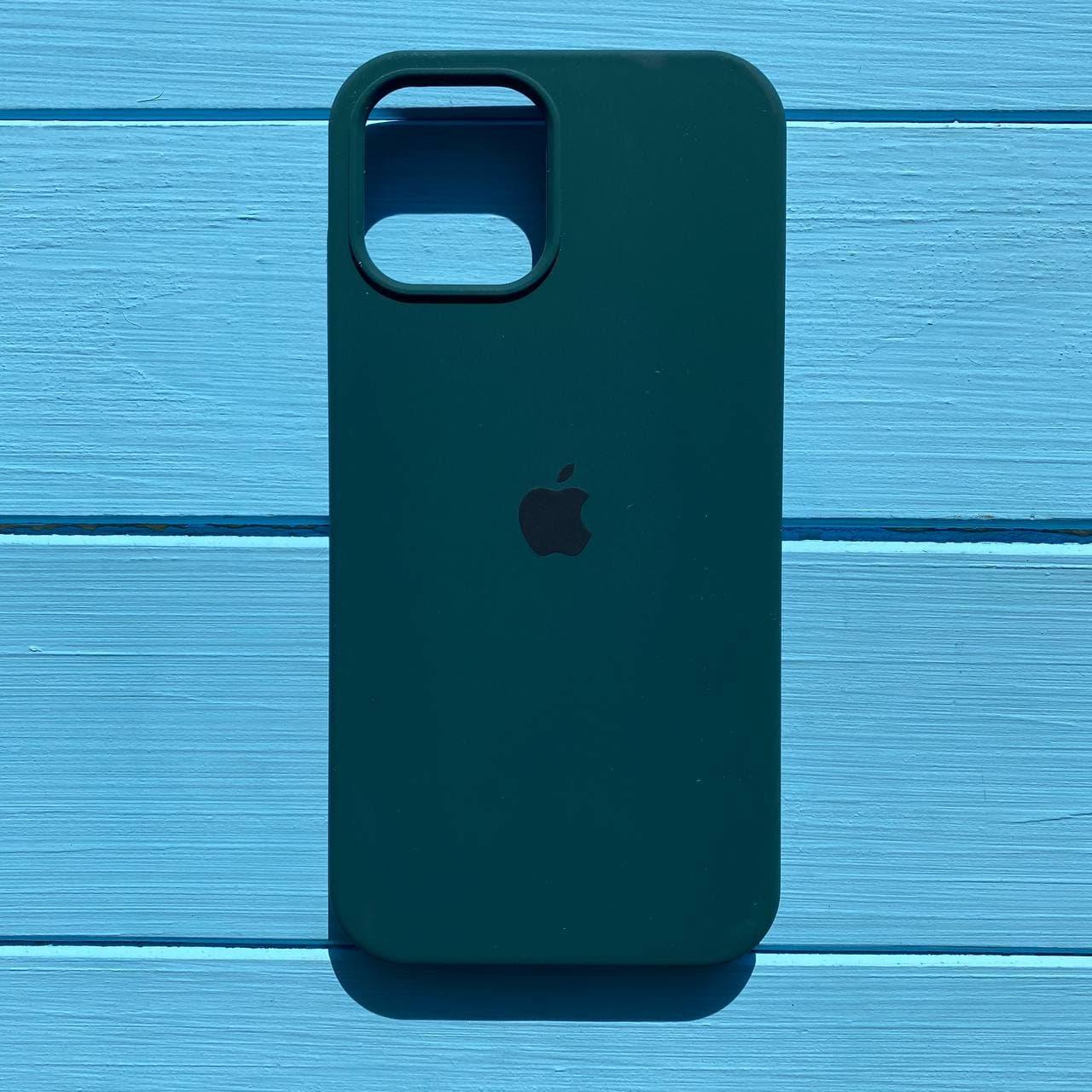 Чохол Silicone Case для Apple iPhone 12 Mini Green Pasific