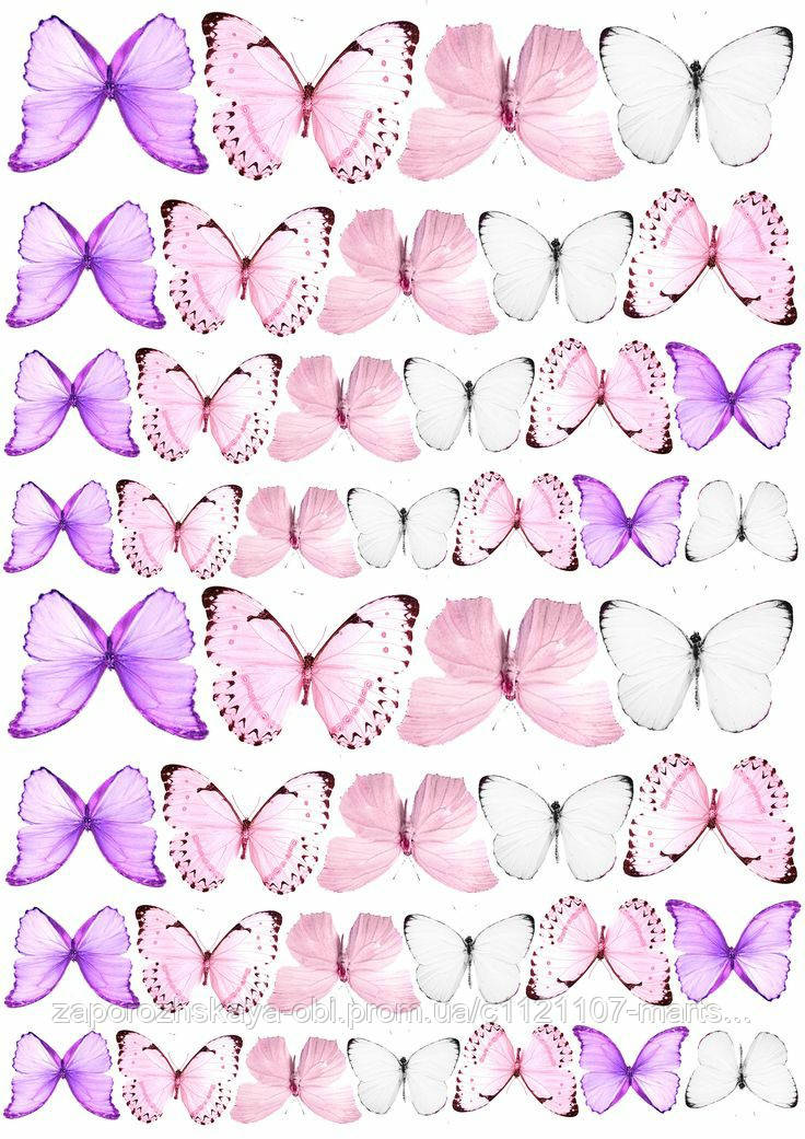 Метелики асорті 37 Вафельна картинка, фото 1