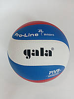 Мяч волейбольний GALA PRO-LINE bv5591 s