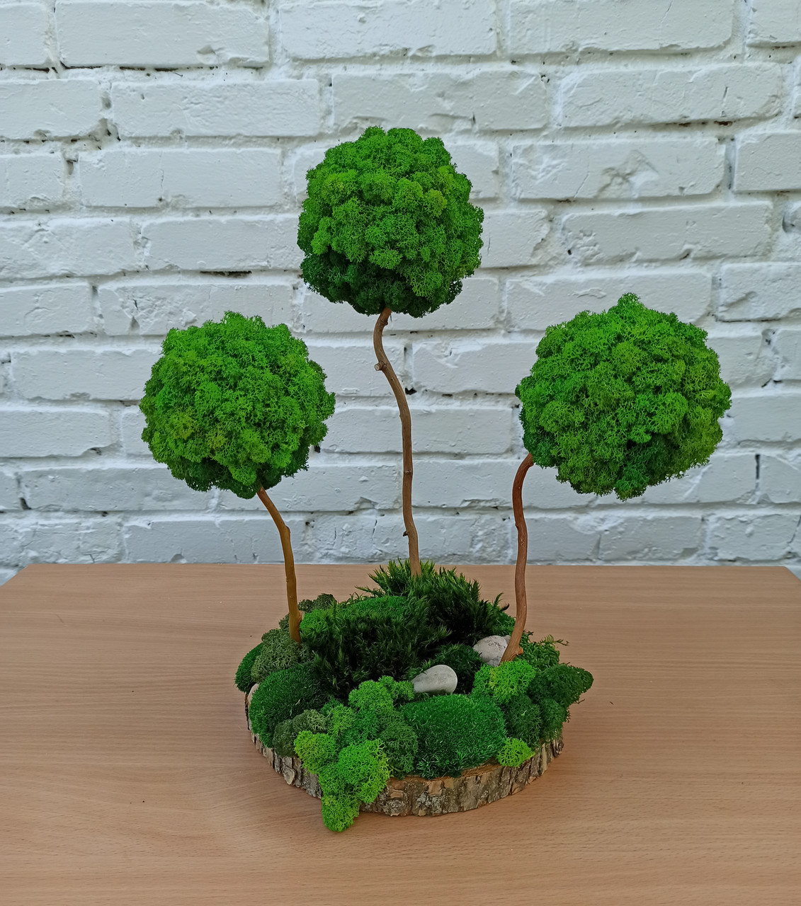 Композиція зі стабілізованих дерев, дерева з моху, декор з моху на стіл, фото 1
