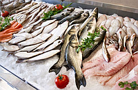 Холодильна камера для зберігання риби та морепродуктів (+5°С)