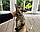 Дівчинка бенгал, (Без нашийника) ін. 17.03.2021. Бенгальські кошенята з вихованця Royal Cats. Україна, Київ, фото 5