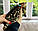 Хлопчик бенгал, (Блакитний нашийник) ін. 17.03.2021. Бенгальські кошенята з вихованця Royal Cats. Україна, Київ, фото 9