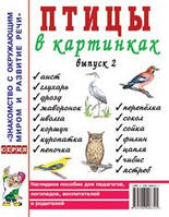 Птицы в картинках. Выпуск 2 Наглядное пособие для педагогов, логопедов, воспитателей и родителей.