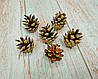 Ялинові Шишки натуральні декоративні ,розмір 3,5-5см., фото 8
