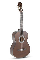 Класична гітара VGS Basic Walnut 4/4