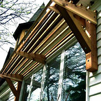 Пергола-козырёк "Фалан" мускат